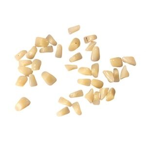 Vintage Acrylic False Teeth Dental Supply Oddities Crafting Jewelry Lot 35+ Pcs